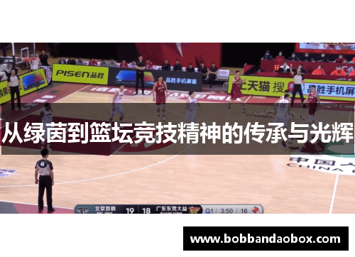 从绿茵到篮坛竞技精神的传承与光辉