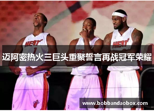 迈阿密热火三巨头重聚誓言再战冠军荣耀