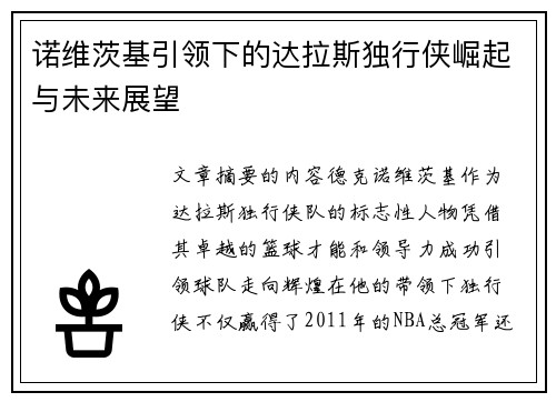 诺维茨基引领下的达拉斯独行侠崛起与未来展望