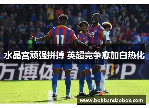 水晶宫顽强拼搏 英超竞争愈加白热化